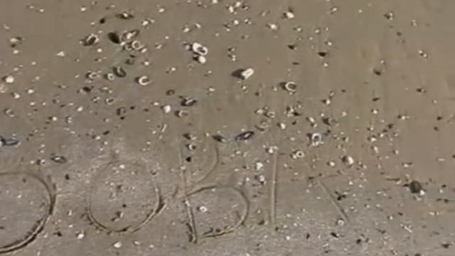 Адриатическое море побережье Римини Италия смотреть онлайн