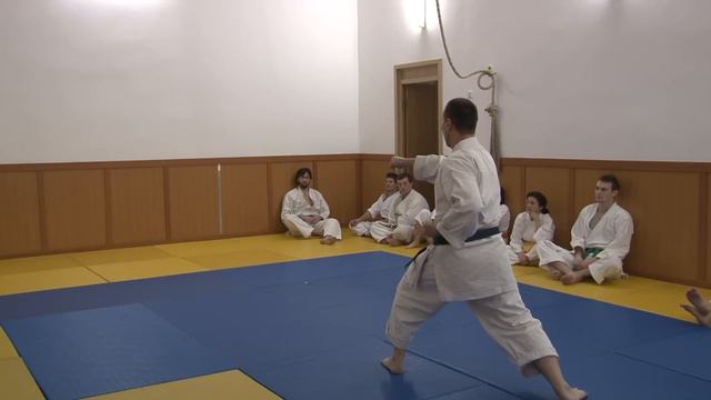 Kata Unsu Sorin Arustei.mpg смотреть онлайн