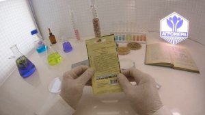 Томат Пигмей. Гавриш