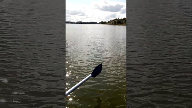 Новый троллинг. смотреть онлайн