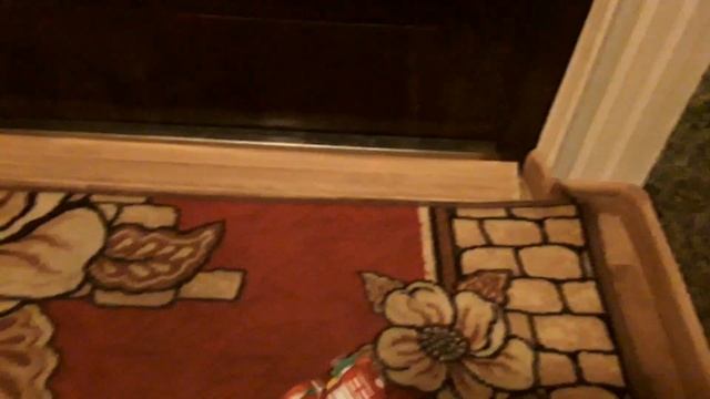 Ну  очень, очень крутая игрушка!