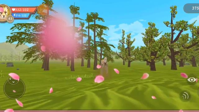 Информация : почему и как я начала снимать фильмы Wild craft 💓. смотреть онлайн