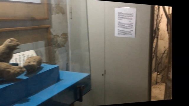 Выборг. Замок-экспозиция Прогулка по удивительному городу! смотреть онлайн