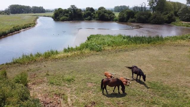 La Manche vue du ciel смотреть онлайн