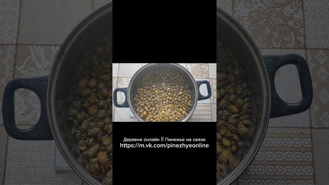 Рождественские загадки и секреты