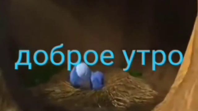 Доброе утро мама смотреть онлайн