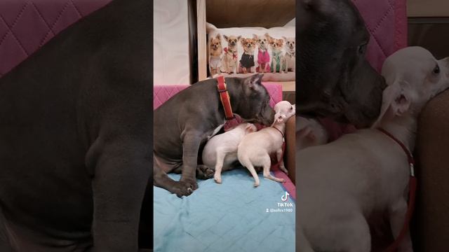 2022-07-12-232401040.mp4 смотреть онлайн