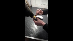 Как самостоятельно снять внутривенный катетер у собаки кошки