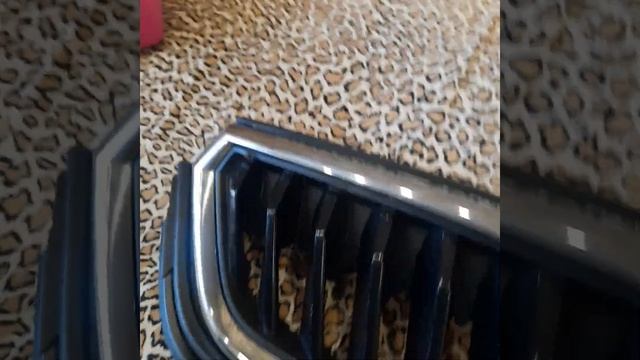 Решетка радиатора Skoda Rapid 2022 смотреть онлайн