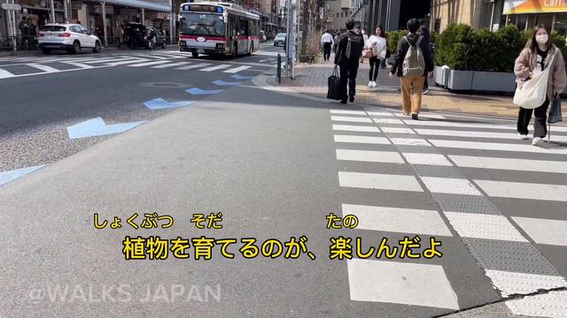 25 Minutes Simple Japanese Listening |Tokyo Walking And Learning - 2024年2月のまとめ #4