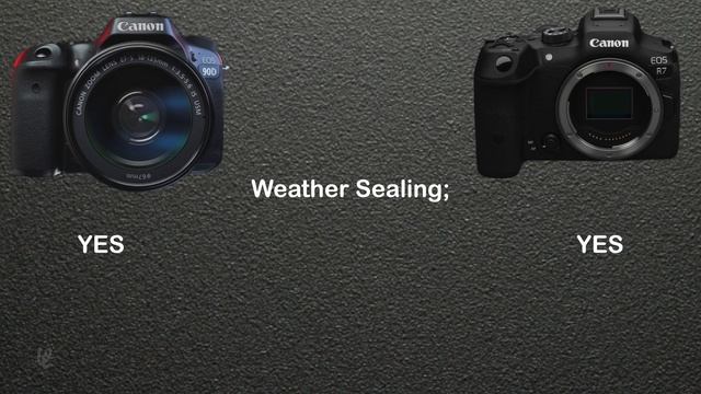 Canon 90D vs. Canon R7: Which Is Better? смотреть онлайн