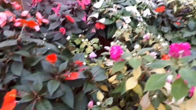 Нас постигла БЕДА 😱😭😢....УРАГАН. Последствия.... смотреть онлайн