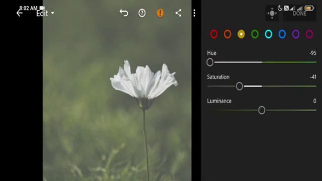 EDIT MOODY GREEN TONE | LIGHTROOM TUTORIAL | THEMOODYTONE смотреть онлайн