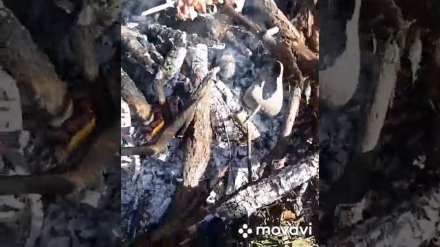 Лесной #шурф2019 ! Как #правильно #шурфить или вообще как шурфить ! Интересные находки на шурфе