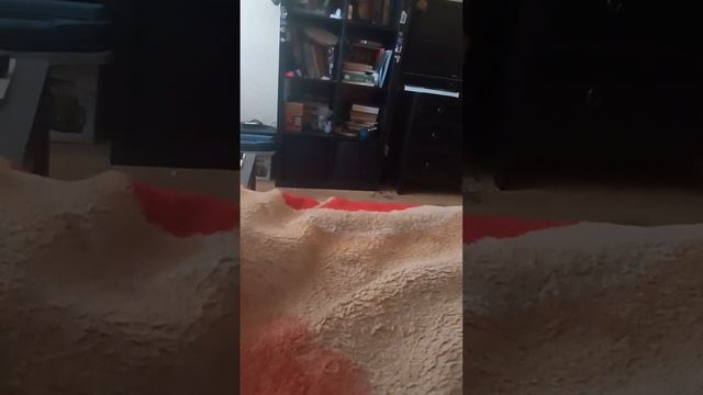 Обзор на новую колонку Джой!!! смотреть онлайн