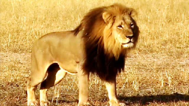 Droši Ieiet Svētajā Vietā - Дерзновение входить во святилище