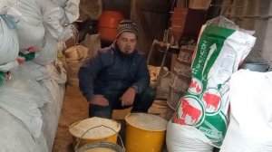 Сколько пойдет корма, на 20 свиней? Какой рацион будем использовать?! Откорм свиней. Свиноводство.