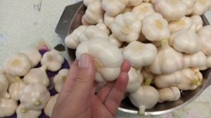 Маринованный чеснок. Часть 1.