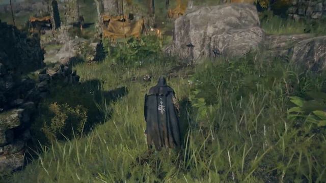 ELDEN RING ¿auto parry? смотреть онлайн
