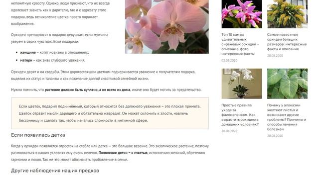 Орхидея: приметы, можно ли держать дома, особенно женщинам, к чему цветет и другие народные суевери смотреть онлайн