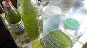 42 Получение хлореллы в домашних условиях