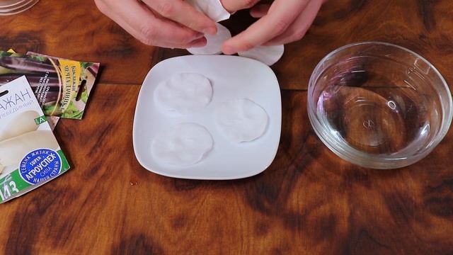 Как посеять баклажаны на рассаду правильно? смотреть онлайн