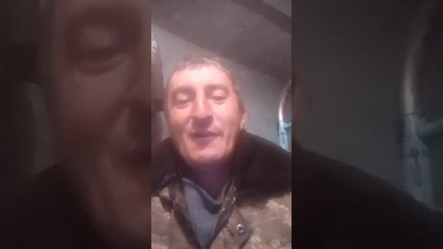 стих от Ваньки Лашина.золотые гуси смотреть онлайн