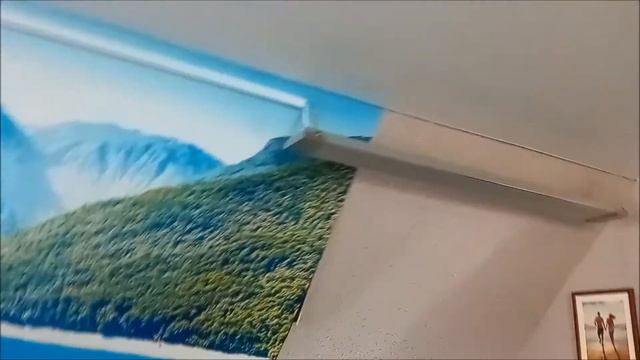 Отзыв: Обогреватель электрический инфракрасный потолочного типа AC ELECTRIC смотреть онлайн