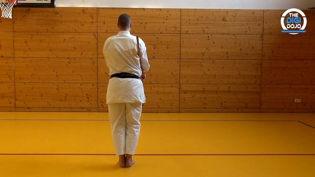 BO KATA WALKTHROUGH — SHUSHI NO KON || AJ from The Digi Dojo смотреть онлайн