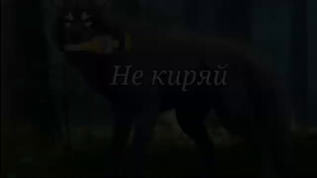[wcmv] Не киряй смотреть онлайн