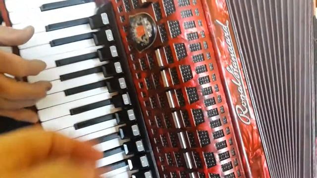 Royal Standard ( Weltmeister ) Meteor 120 Bass LMMH Accordion Fisarmonica AC418 (2)