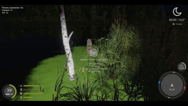 КАРП - НОВАЯ ТОЧКА Ст. ОСТРОГ - СУПЕР КЛЁВ / ФАРМ ✅ РУССКАЯ РЫБАЛКА 4 ? Russian Fishing 4 ? РР4 смотреть онлайн