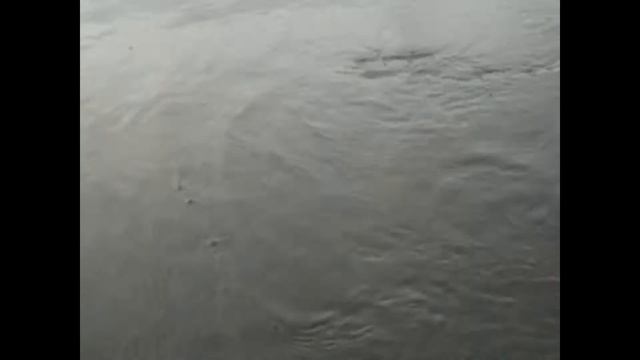 щука 6 кг смотреть онлайн