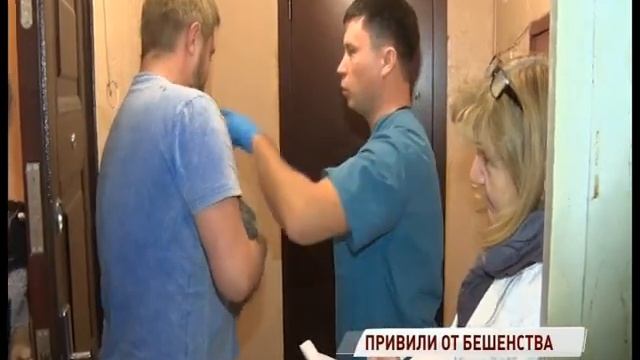 В Ярославле у домашней собаки выявлено бешенство смотреть онлайн