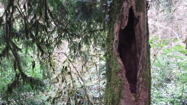 Неизученная аномалия.  Дольмен.