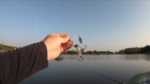 Ловля щуки на мелководье на воблер