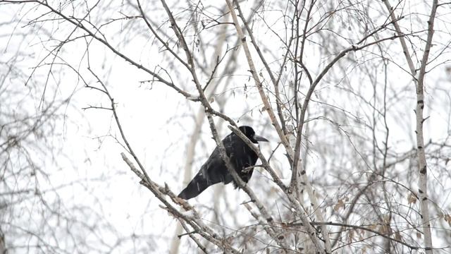 Страх за близкого человека смотреть онлайн