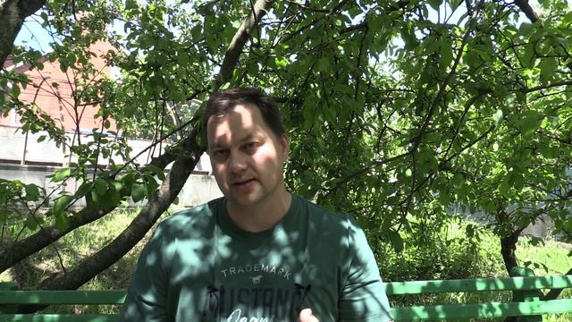 Что дают | Камни, Металлы, Цвета и Числа - Лабиринты Знаний смотреть онлайн