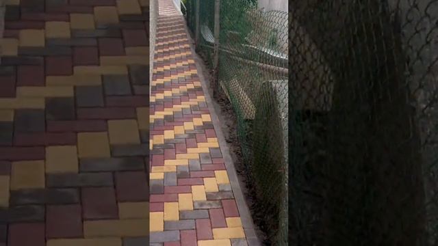 Укладка,тротуарной плитки.благоустройство смотреть онлайн