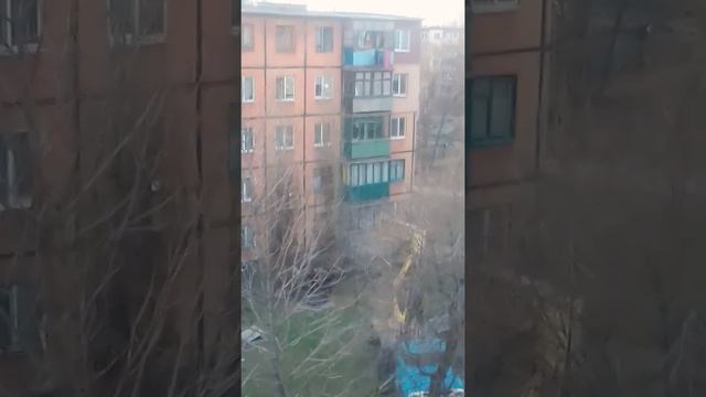 ###Спасение Кошки С Дерева С 4 етажа Кран автомобиль Зил с Вышкой и подъёмником перепуганная кошка# смотреть онлайн