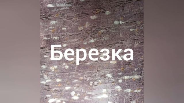 Экологичная дешевая декоративная штукатурка-образцы смотреть онлайн