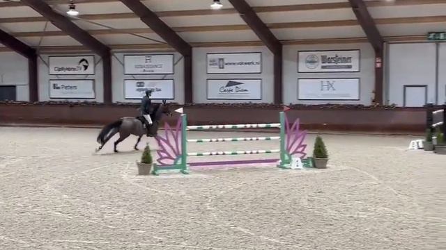 Paulien Dwerse Hagen (8yo Cornet x Casall) - JO GP Peelbergen смотреть онлайн