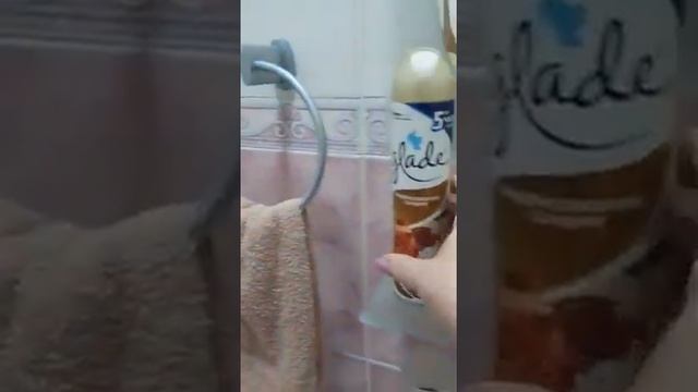 Поэтапная уборка в охотничьем домике. Уборка после гостей. Что нужно иметь в квартире перед гостям смотреть онлайн