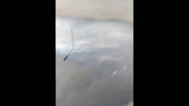 Дима Колесникович. Осень 2019 смотреть онлайн