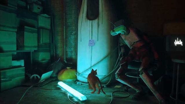 Помогаем найти дорогу домой котику | STRAY #stray #котики смотреть онлайн