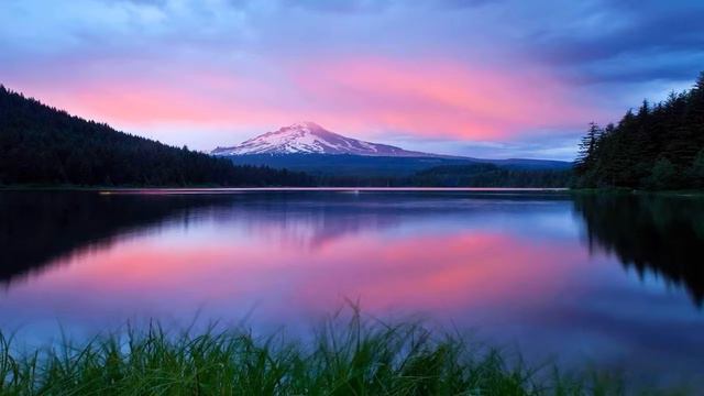 С-Значит стелс!!!!Payday 2!!