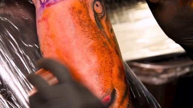 Tiger Tattoo Timelapse with Real Time смотреть онлайн