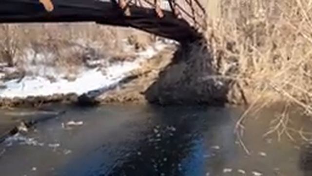 Рыбалка на паук,поймали карасиков смотреть онлайн