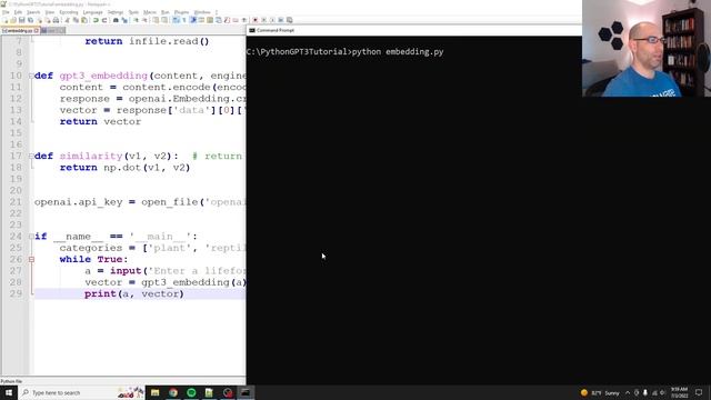 Python & GPT-3 for Absolute Beginners #3 - What the heck are embeddings? смотреть онлайн