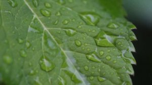 ТОП продуктов богатых ЖЕЛЕЗОМ (и зачем оно нужно вообще)